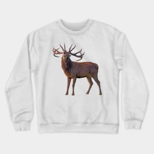 Deer Crewneck Sweatshirt